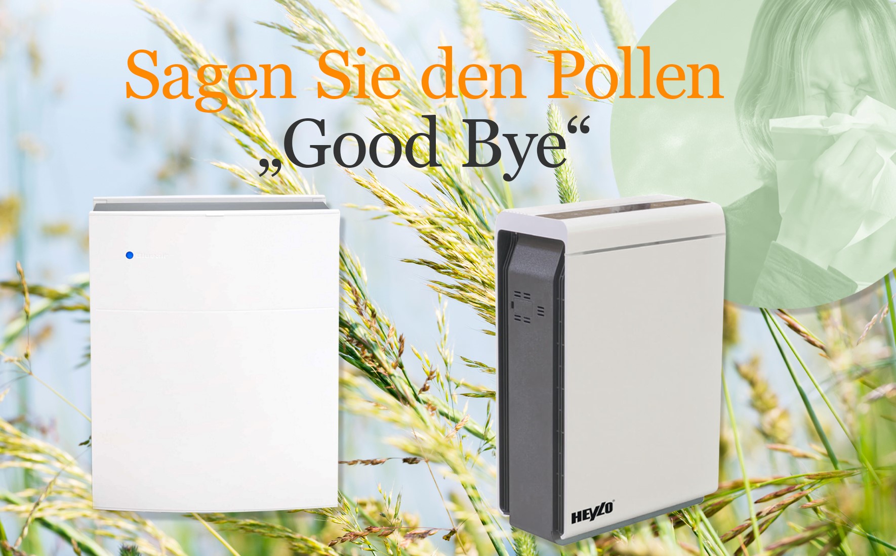 Pollen-Startseite-Kategorie